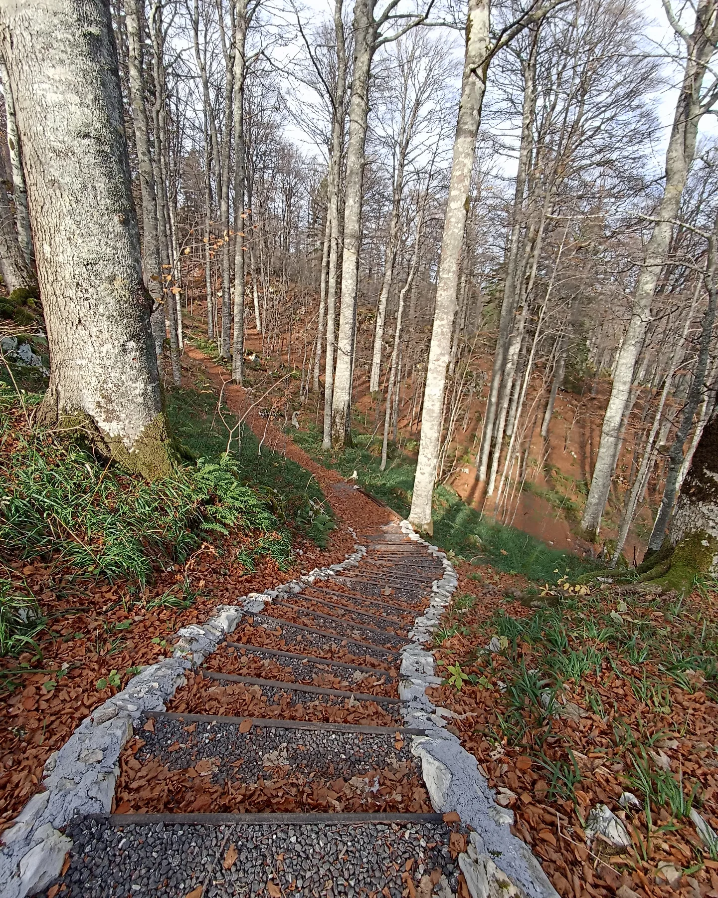 Uređeno stepenište na dijelu šetnice u jesenjem periodu