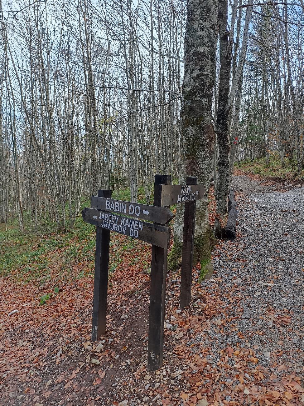 Putokazi na račvanju puta za  Jarčev kamen i Pećinu