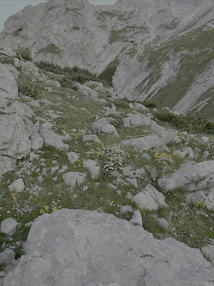 Fotografija prirode na Triglavu